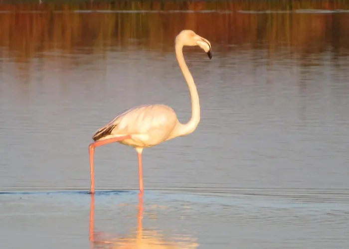 Penthouse Puro Cabanas De Tavira