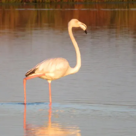 Penthouse Puro Кабанаш-де-Тавира