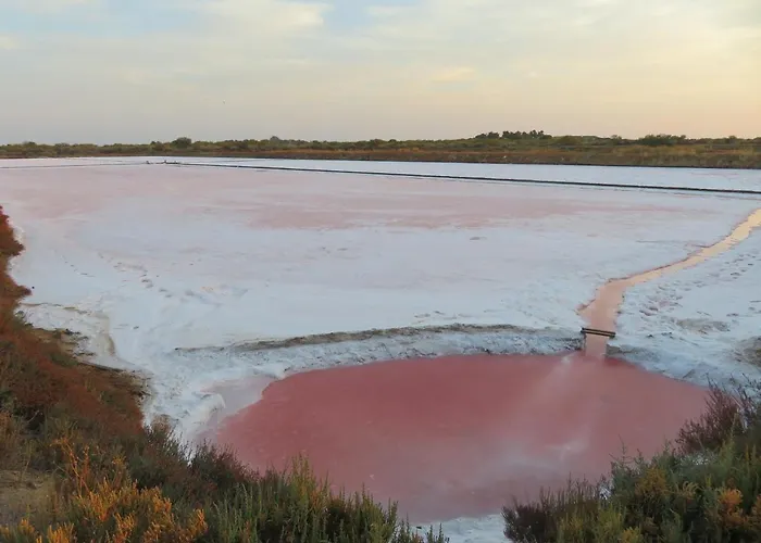 Penthouse Puro 아파트 카바나스데타비라