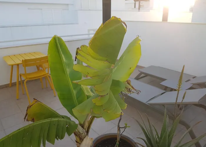 아파트 Penthouse Puro *